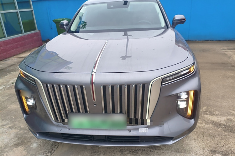 HongQi E-HS9 2023 immagine di auto #3