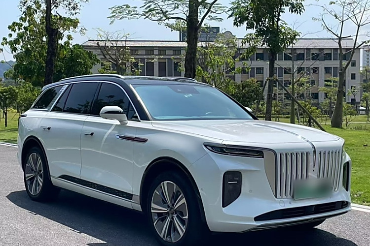 HongQi E-HS9 2021 immagine di auto #3