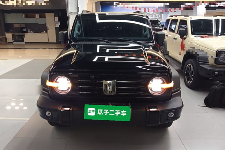 Tank 300 New Energy 2025 car image #3