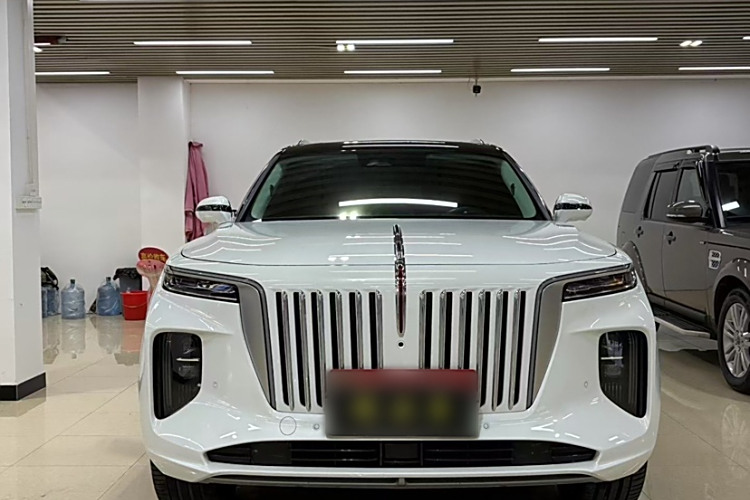 HongQi E-HS9 2021 immagine di auto #3