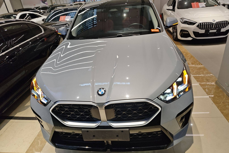 BMW X2 (Imported) 2024 imagen de coche #3