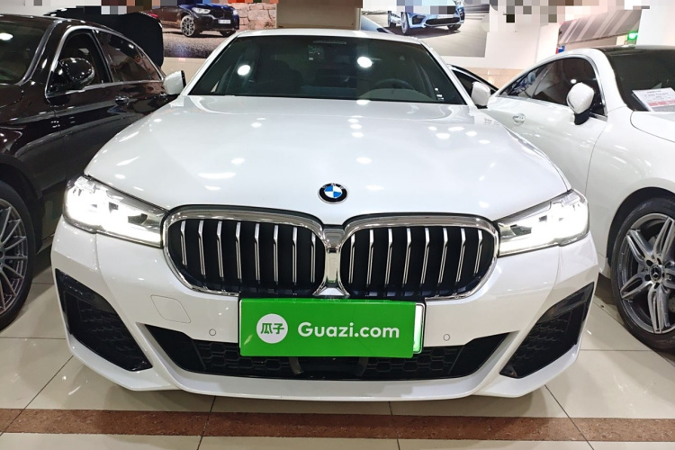 BMW 5 Series New Energy 2021 car image #3