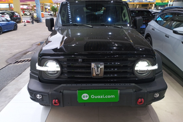 Tank 300 New Energy 2025 car image #3