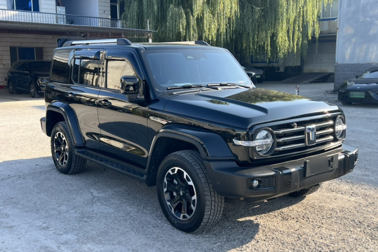 Tank 300 New Energy 2024 #3 Tank 300 New Energy 2024 immagine di auto #3