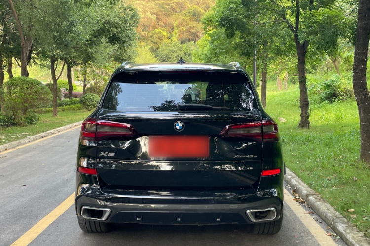 BMW X5 New Energy (Imported) 2021 car image #3