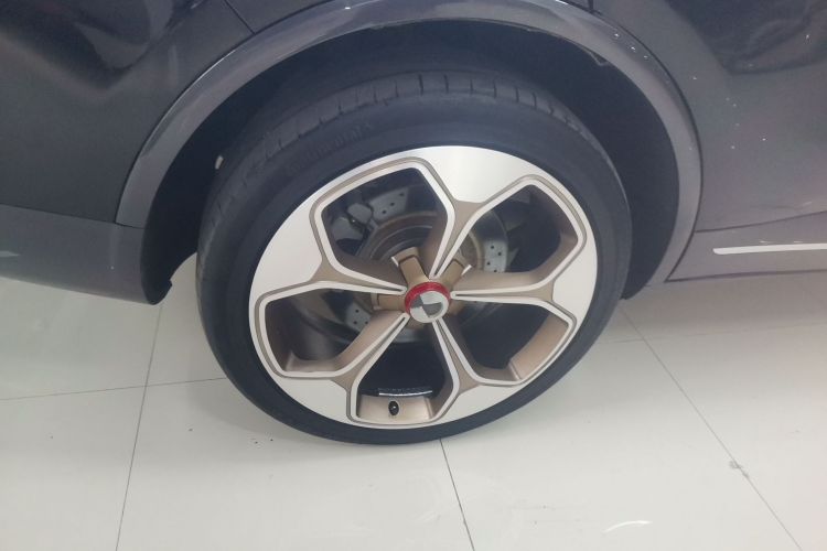 Denza X 2022 image de voiture #3