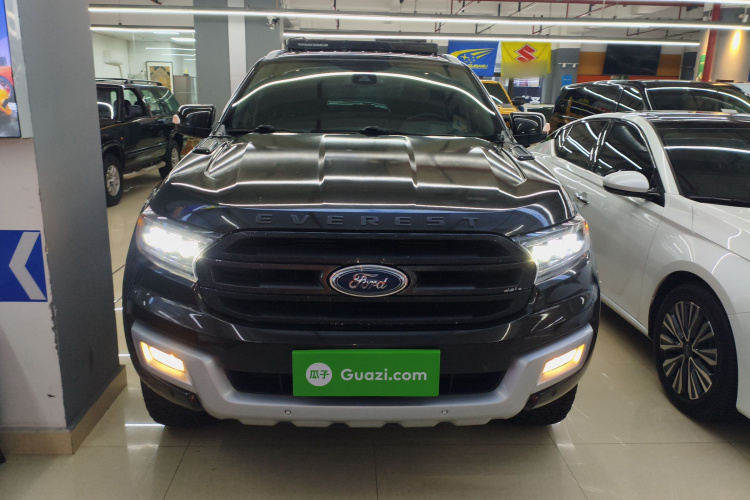 Ford Everest 2020 car image #3