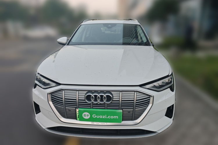 Audi e-tron (Imported) 2021 car image #3