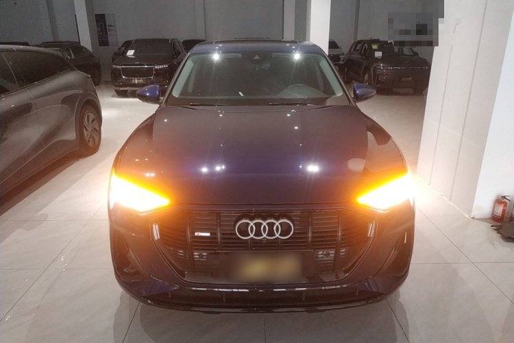 Audi e-tron (Imported) 2022 car image #3