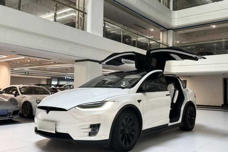 Tesla Model X 2019 car image #3