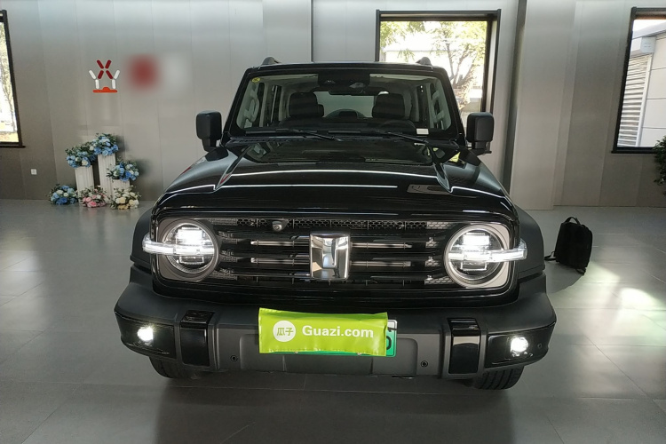 Tank 300 New Energy 2025 car image #3