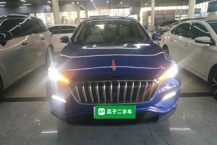 HongQi E-HS3 2019 car image #3