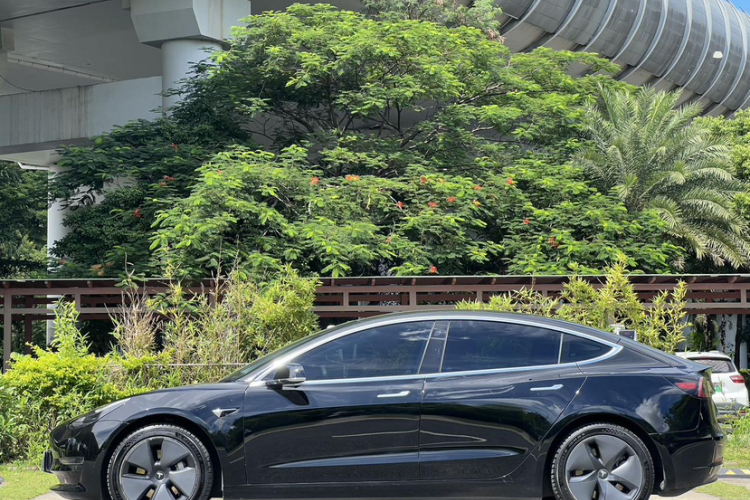 特斯拉 Model 3(进口) 2019 汽车图片 #3