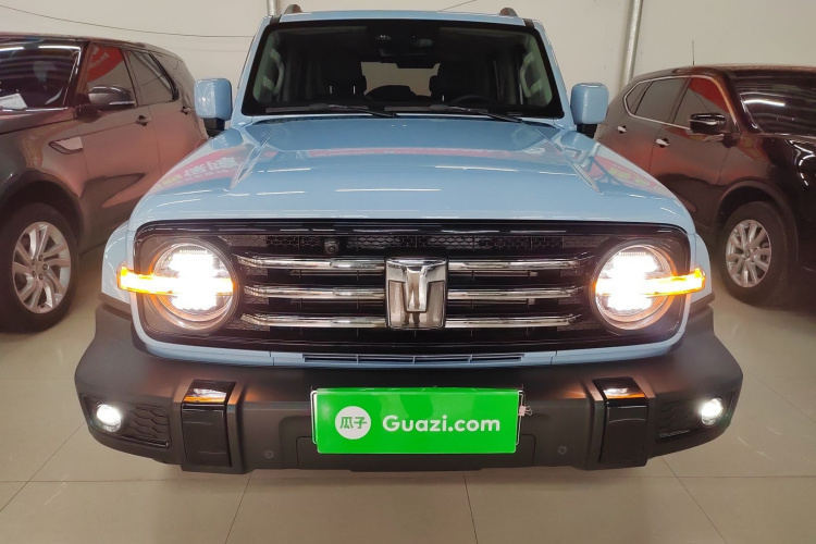 Tank 300 New Energy 2024 imagem de carro #3