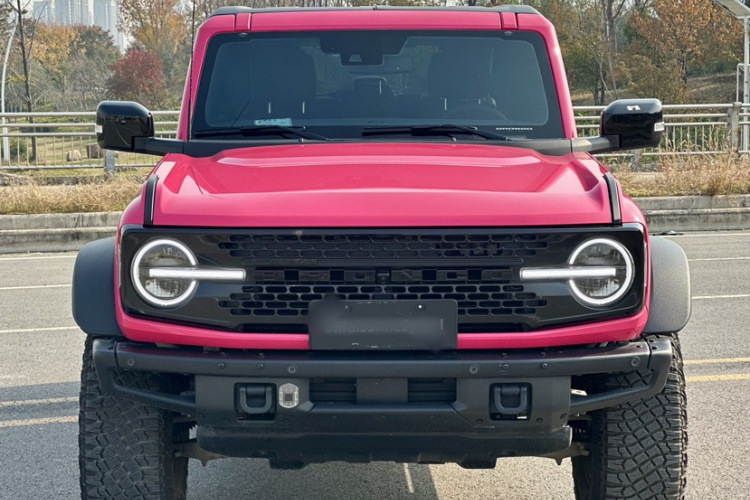 福特 福特烈马 2024 #3 福特 福特烈马 2024 汽车图片 #3