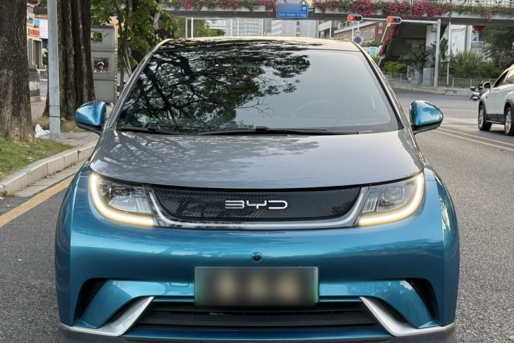 BYD Dolphin 2021 car image #3