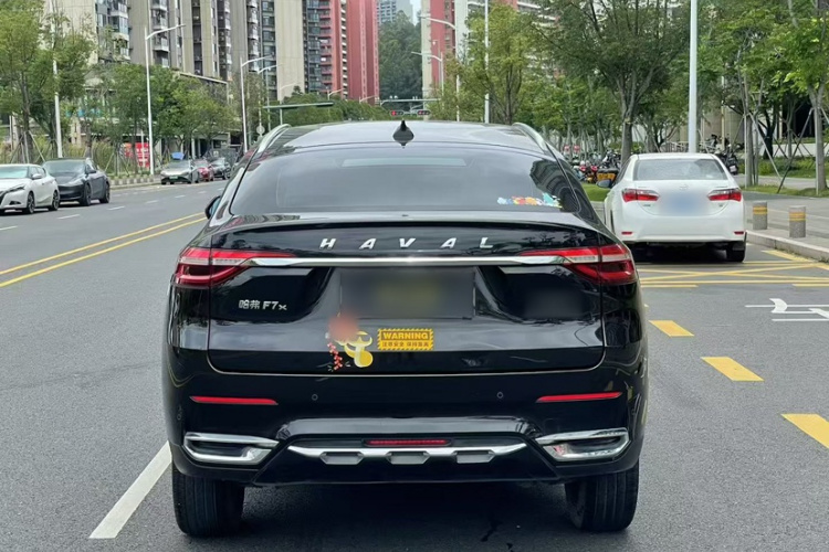 Haval F7x 2020 car image #3