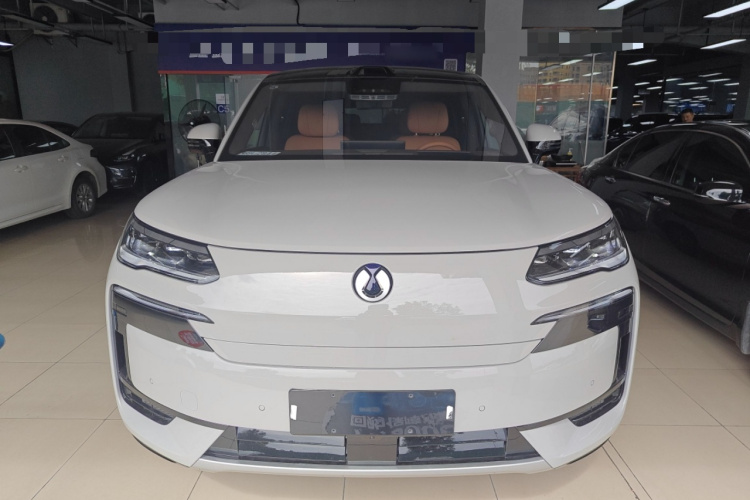 Denza N9 2025 car image #3