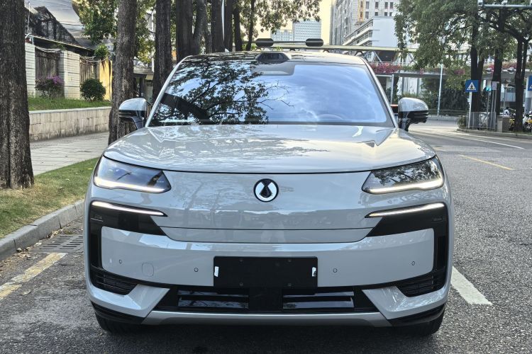 Denza N9 car image #3