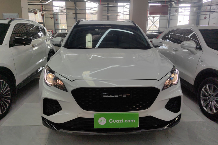 Soueast DX8 S 2023 car image #3