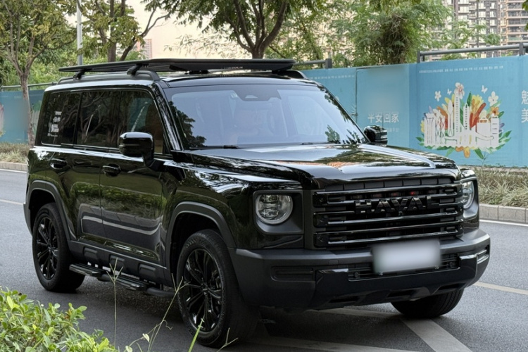 Haval Raptor New Energy 2024 car image #3