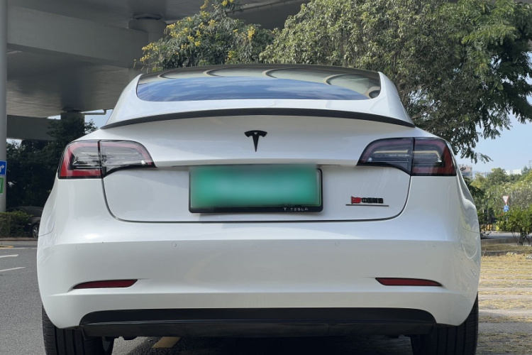 Tesla Model 3 2020 صورة سيارة #3