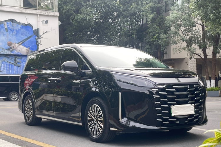 BYD Xia 2024 immagine di auto #3