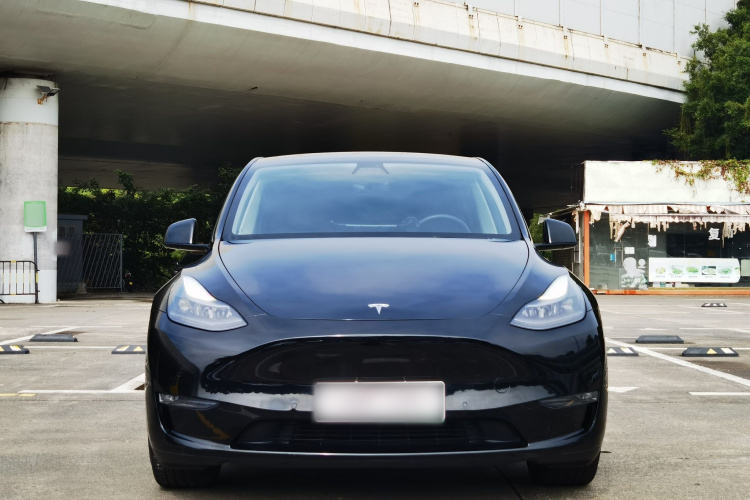 Tesla Model Y 2021 #3 Tesla Model Y 2021 car image #3