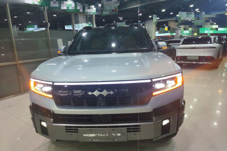 FangChengBao Leopard 8 2024 car image #3