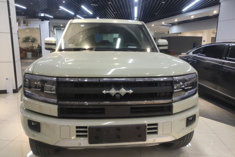 FangChengBao Leopard 5 2025 #3 FangChengBao Leopard 5 2025 car image #3