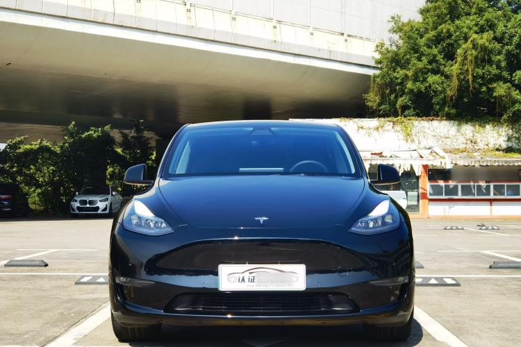 Tesla Model Y 2022 #3 Tesla Model Y 2022 car image #3