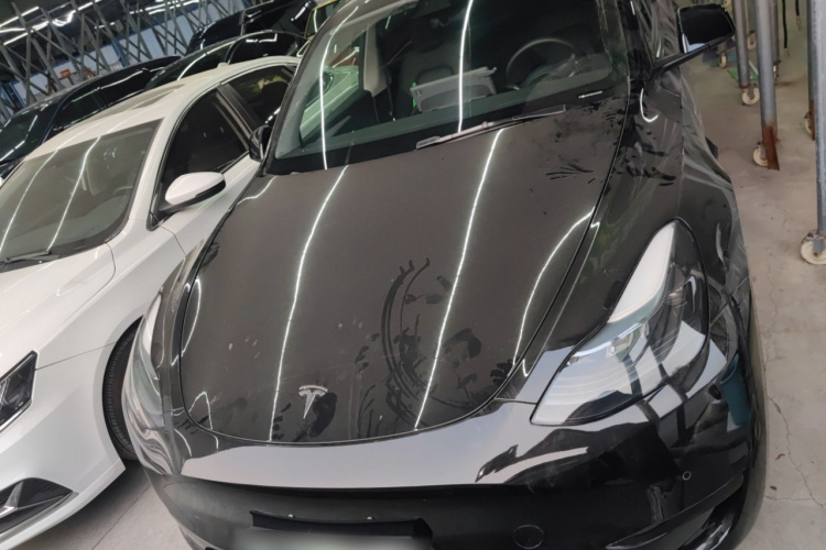 Tesla Model Y 2023 car image #3