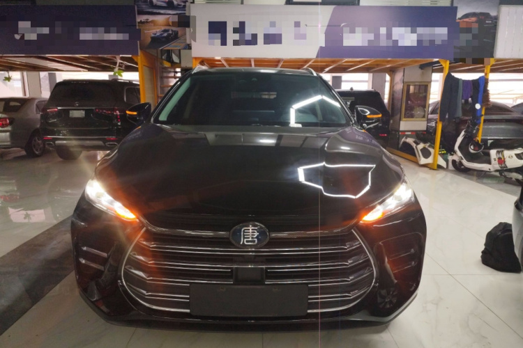 BYD Tang New Energy 2018 car image #3