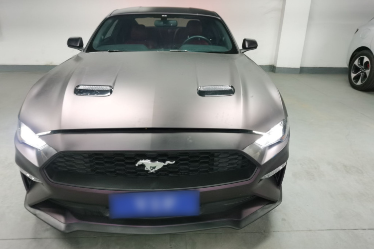 Ford 2019 car image #3