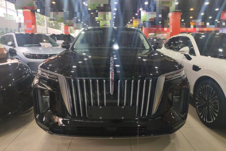 HongQi E-HS9 2021 immagine di auto #3