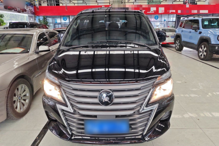 Forthing Lingzhi 2024 immagine di auto #3