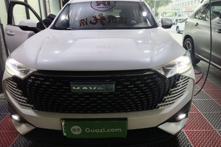 Haval H6 2022 immagine di auto #3