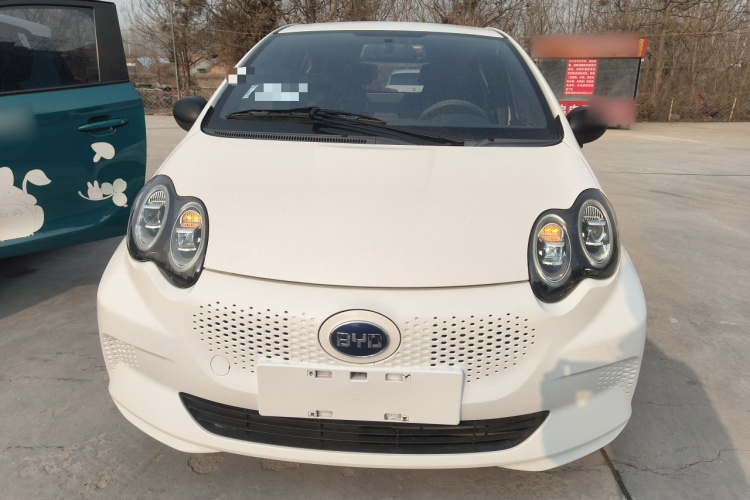 BYD e1 2019 #3 BYD e1 2019 car image #3