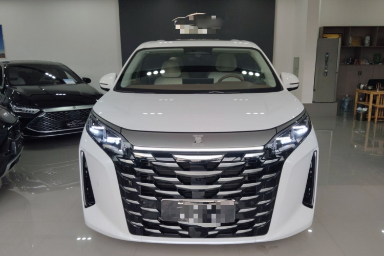 BYD Xia 2024 car image #3