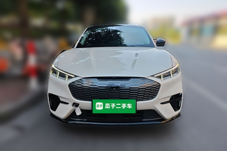 Ford Mustang Mach-E 2022 #3 Ford Mustang Mach-E 2022 car image #3