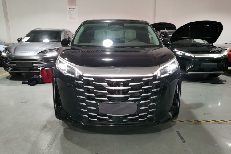 BYD Xia 2025 imagen de coche #3