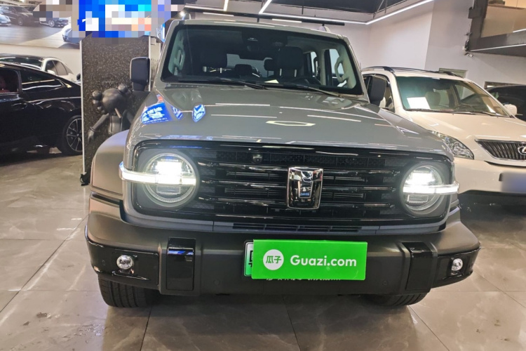 Tank 300 New Energy 2025 car image #3