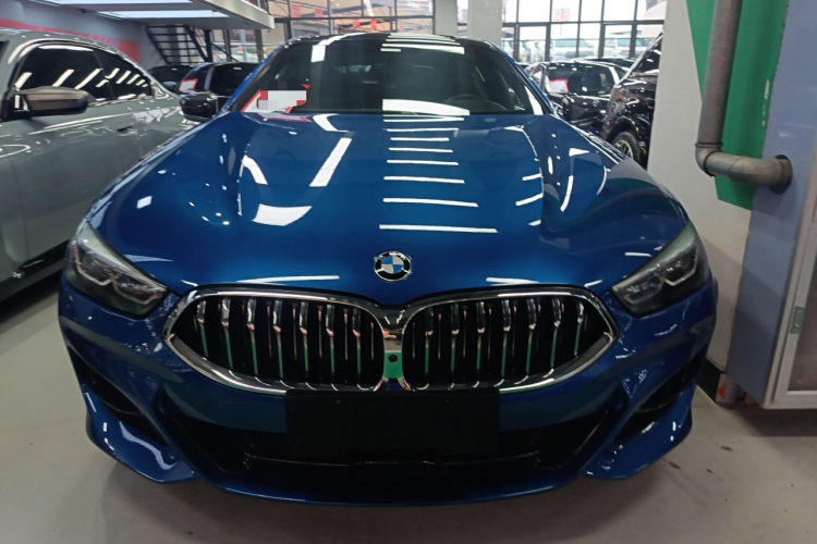 BMW 8 Series 2020 #3 BMW 8 Series 2020 immagine di auto #3