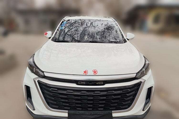 Beijing X3 2019 immagine di auto #3