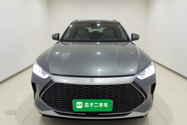 BYD Song Plus New Energy 2022 immagine di auto #3