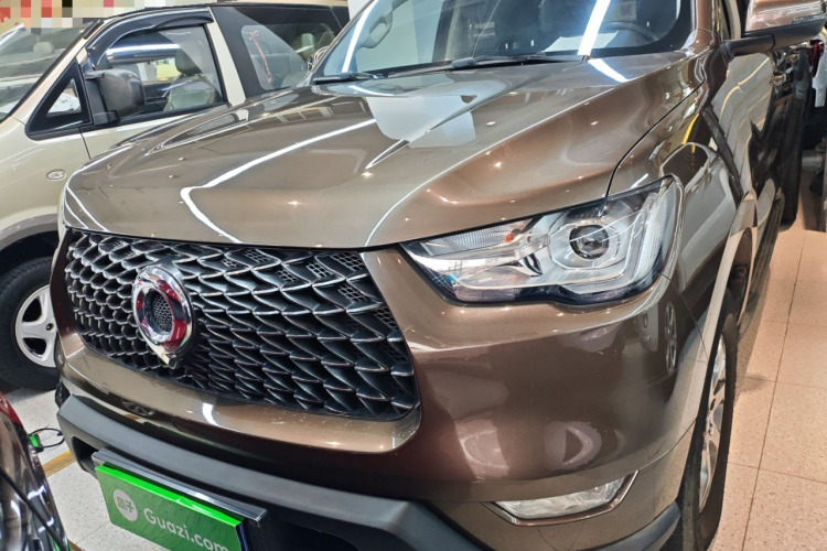 Great Wall Poer 2021 #3 Great Wall Poer 2021 car image #3