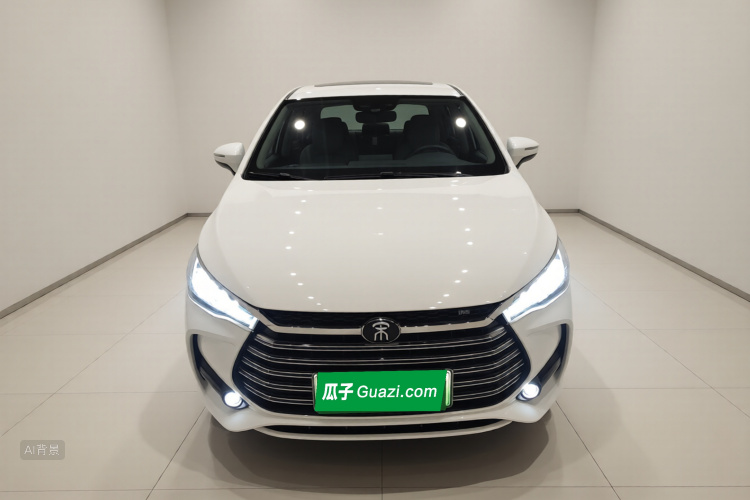 BYD 2019 car image #3