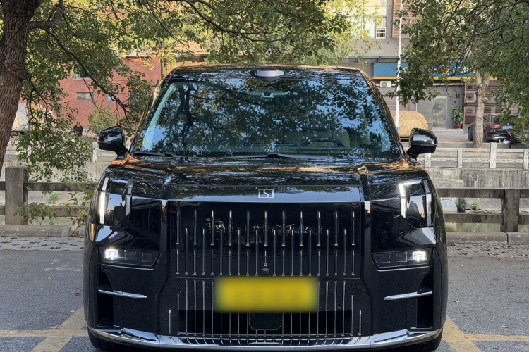 极氪 极氪009 2024 汽车图片 #3