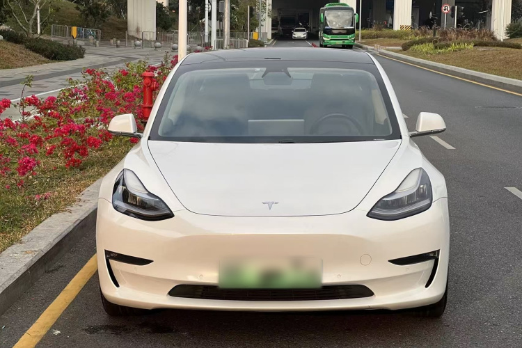 Tesla Model 3 2020 #3 Tesla Model 3 2020 car image #3
