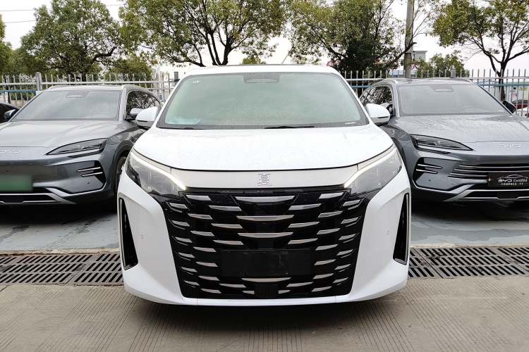 BYD Xia 2024 car image #3